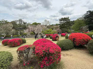 新宿御苑に投稿された画像（2026/4/9）
