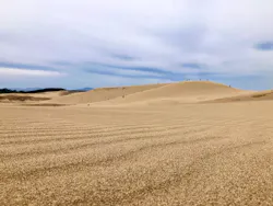 Camel Cycle Club（キャメルサイクルクラブ）に投稿された画像（2026/4/9）