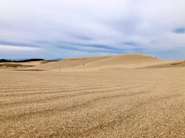 Camel Cycle Club（キャメルサイクルクラブ）に投稿された画像（2026/4/9）
