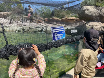 神戸どうぶつ王国に投稿された画像（2026/4/9）