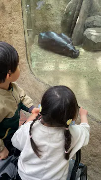 神戸どうぶつ王国に投稿された画像（2026/4/9）