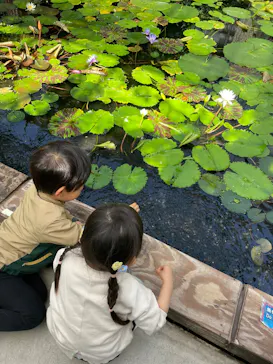 神戸どうぶつ王国に投稿された画像（2026/4/9）