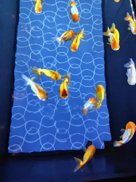 すみだ水族館に投稿された画像（2026/4/9）