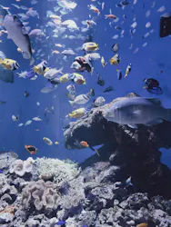 仙台うみの杜水族館に投稿された画像（2026/4/9）