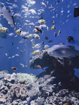 仙台うみの杜水族館に投稿された画像（2026/4/9）