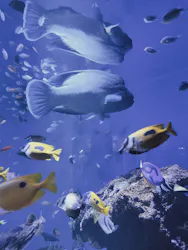 仙台うみの杜水族館に投稿された画像（2026/4/9）