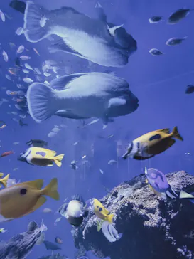 仙台うみの杜水族館に投稿された画像（2026/4/9）