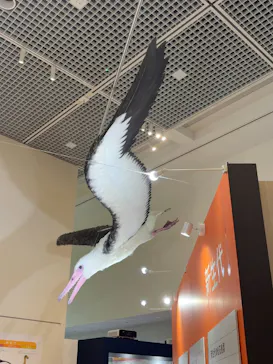 特別展「鳥 ～ゲノム解析が解き明かす新しい鳥類の系統～」に投稿された画像（2026/4/9）