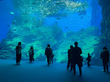 仙台うみの杜水族館に投稿された画像（2026/4/9）