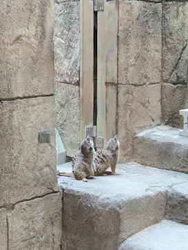 沖縄こどもの国に投稿された画像（2026/4/9）