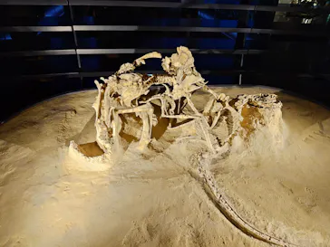 福井県立恐竜博物館に投稿された画像（2026/4/9）