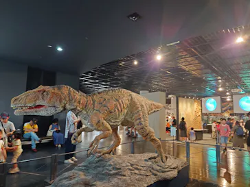 福井県立恐竜博物館に投稿された画像（2026/4/9）