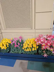 レオマリゾートに投稿された画像（2026/4/10）