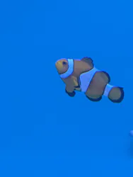 アクアワールド茨城県大洗水族館に投稿された画像（2026/4/10）