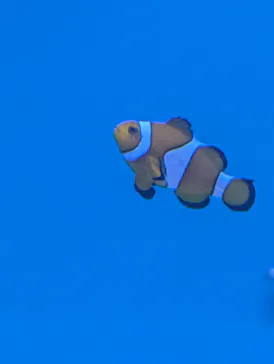 アクアワールド茨城県大洗水族館に投稿された画像（2026/4/10）
