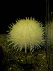 アクアワールド茨城県大洗水族館に投稿された画像（2026/4/10）