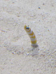 アクアワールド茨城県大洗水族館に投稿された画像（2026/4/10）