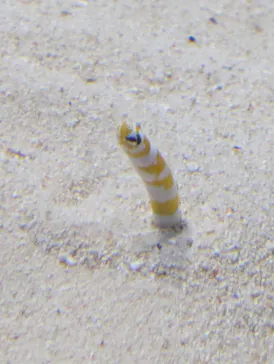アクアワールド茨城県大洗水族館に投稿された画像（2026/4/10）