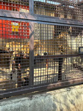 宇都宮動物園に投稿された画像（2026/4/10）