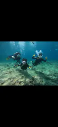 武藤潜水に投稿された画像（2026/4/10）
