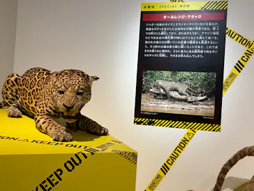 特別展「超危険生物展　科学で挑む生き物の本気」に投稿された画像（2026/4/10）