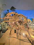 福井県立恐竜博物館に投稿された画像（2026/4/10）