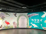 カワスイ 川崎⽔族館に投稿された画像（2026/4/10）