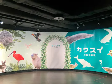 カワスイ 川崎⽔族館に投稿された画像（2026/4/10）