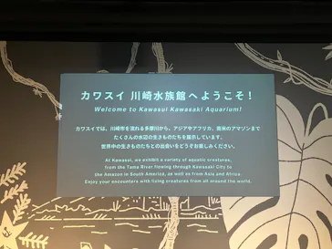 カワスイ 川崎⽔族館に投稿された画像（2026/4/10）