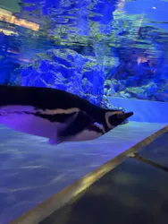 すみだ水族館に投稿された画像（2026/4/10）
