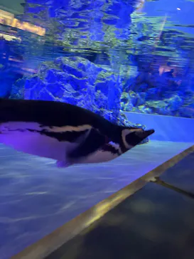 すみだ水族館に投稿された画像（2026/4/10）