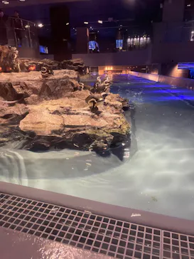 すみだ水族館に投稿された画像（2026/4/10）