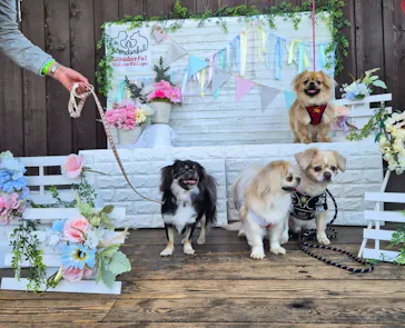 わんダフルネイチャーヴィレッジに投稿された画像（2026/4/10）