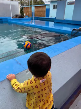 ゼロ距離水族館 伊勢シーパラダイスに投稿された画像（2026/4/10）