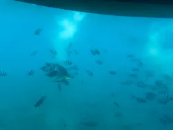 ウエストマリンに投稿された画像（2026/4/10）