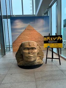 ハルカス300(展望台)に投稿された画像（2026/4/10）