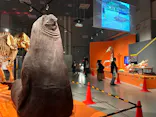特別展「超危険生物展　科学で挑む生き物の本気」に投稿された画像（2026/4/10）