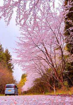 のとじま水族館に投稿された画像（2026/4/10）