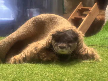 のとじま水族館に投稿された画像（2026/4/10）