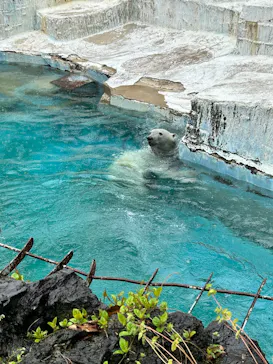 天王寺動物園に投稿された画像（2026/4/10）