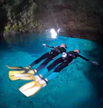 武藤潜水に投稿された画像（2026/4/11）