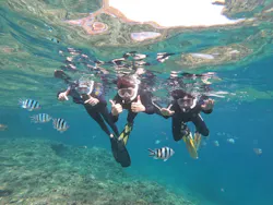 武藤潜水に投稿された画像（2026/4/11）