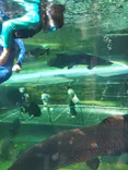 栃木県なかがわ水遊園に投稿された画像（2026/4/11）