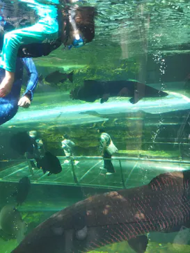 栃木県なかがわ水遊園に投稿された画像（2026/4/11）