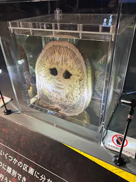 特別展「超危険生物展　科学で挑む生き物の本気」に投稿された画像（2026/4/11）