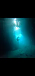 武藤潜水に投稿された画像（2026/4/11）