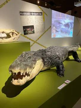 特別展「超危険生物展　科学で挑む生き物の本気」に投稿された画像（2026/4/11）