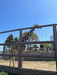 日立市かみね動物園に投稿された画像（2026/4/11）