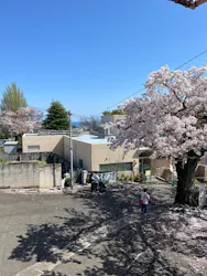 日立市かみね動物園に投稿された画像（2026/4/11）