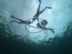 武藤潜水に投稿された画像（2026/4/11）